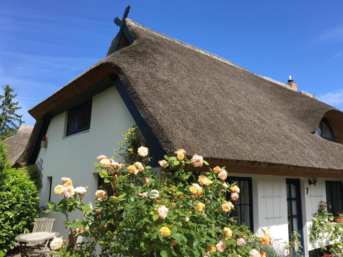 Landhaus Darss 비에크 외부 사진